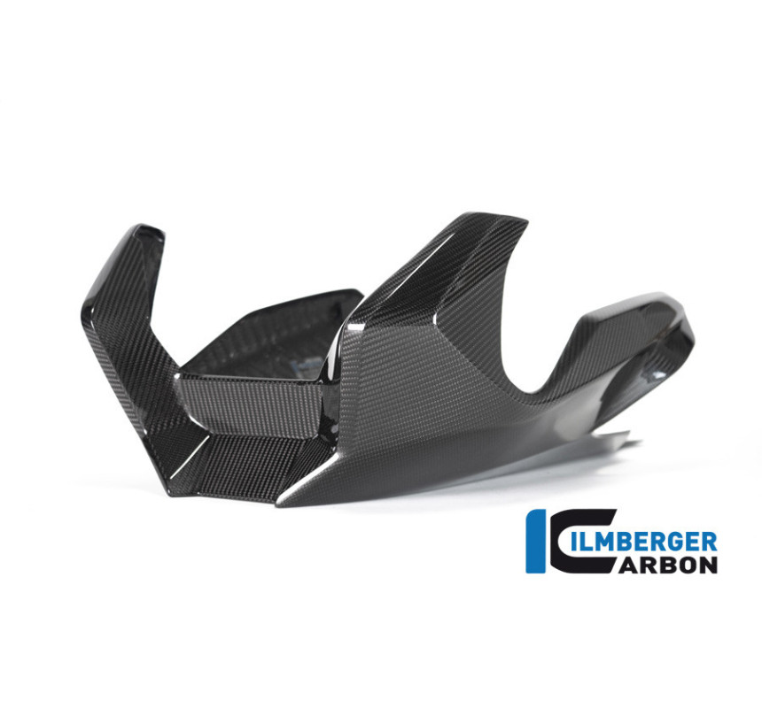 Sabot moteur carbone pour BMW R 1250 R & RS | Ilmberger Carbon