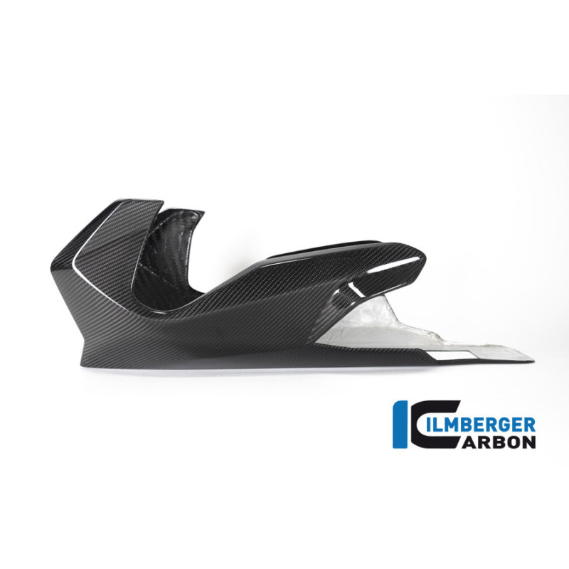 Sabot moteur carbone pour BMW R 1250 R & RS | Ilmberger Carbon