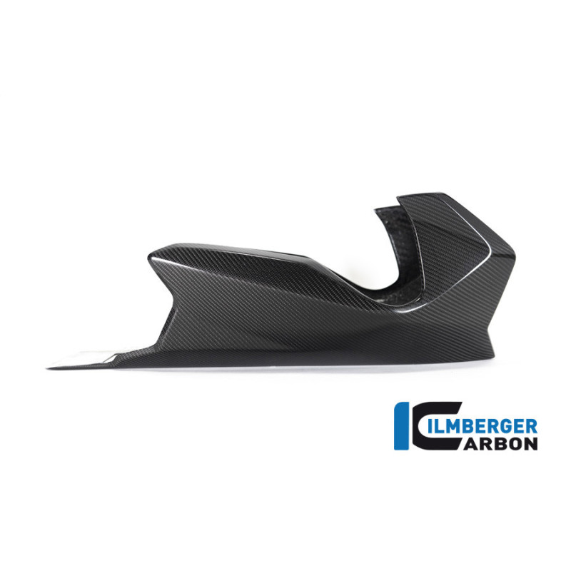 Sabot moteur carbone pour BMW R 1250 R & RS | Ilmberger Carbon