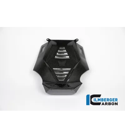 Sabot moteur partie centrale carbone pour BMW R 1200 R & RS | Ilmberger Carbon