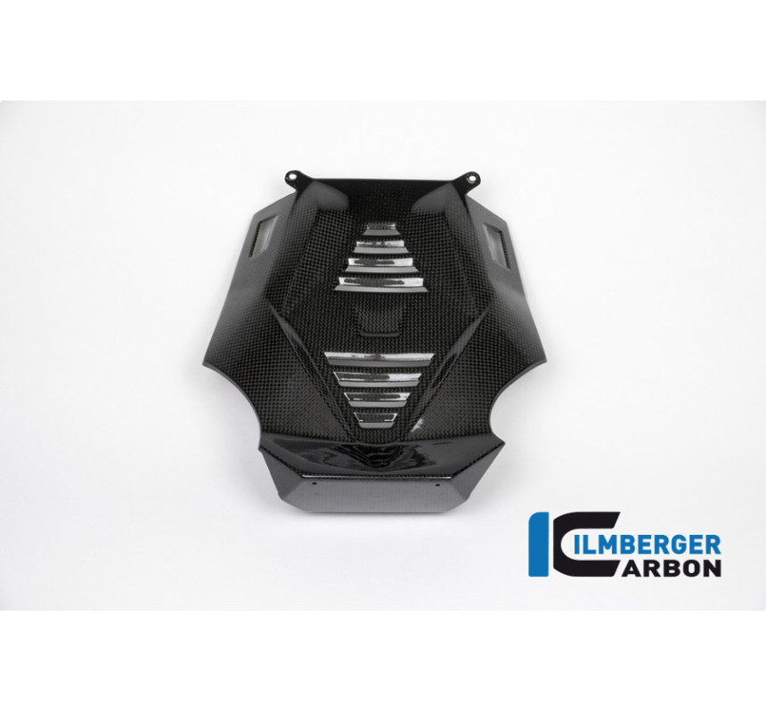 Sabot moteur partie centrale carbone pour BMW R 1200 R & RS | Ilmberger Carbon