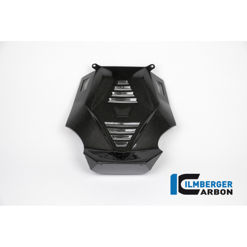 Sabot moteur partie centrale carbone pour BMW R 1200 R & RS | Ilmberger Carbon