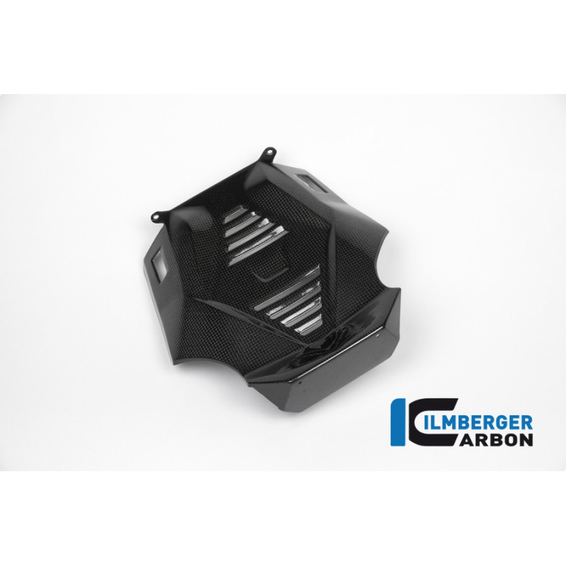 Sabot moteur partie centrale carbone pour BMW R 1200 R & RS | Ilmberger Carbon
