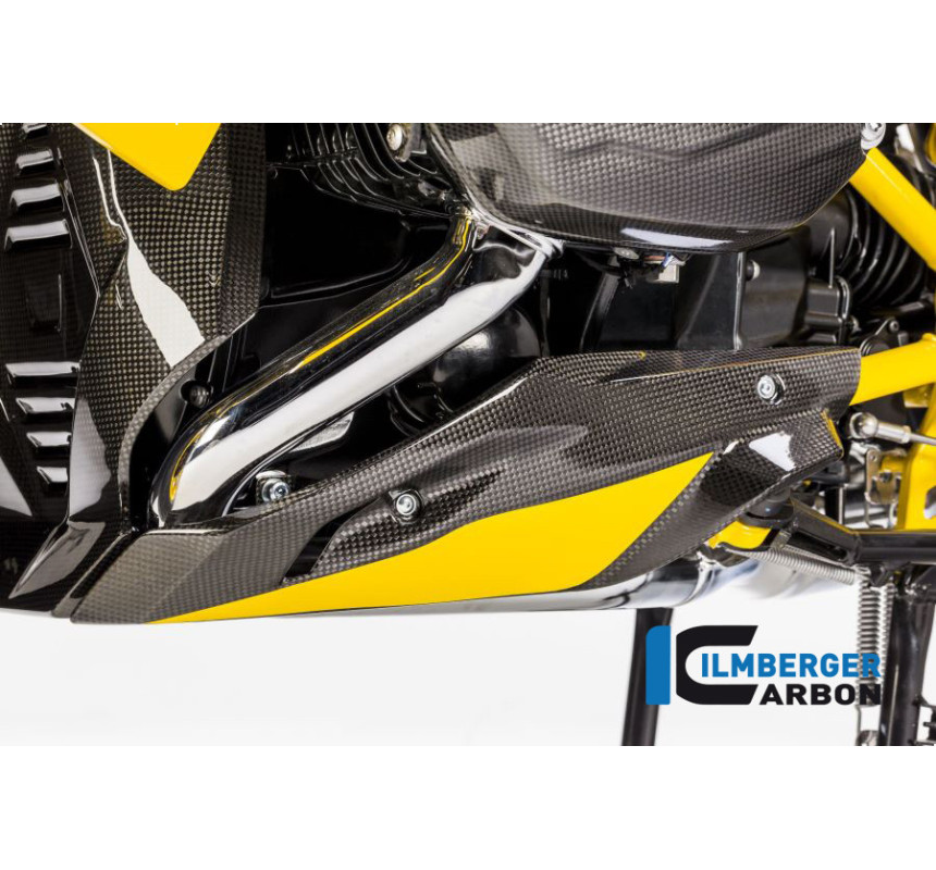 Sabot moteur partie gauche carbone pour R 1200 R & RS