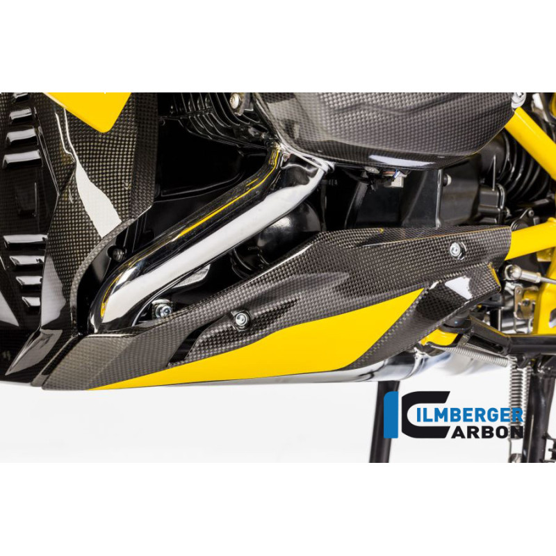 Sabot moteur partie gauche carbone pour R 1200 R & RS