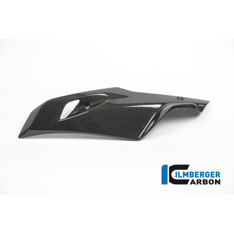 Sabot moteur partie gauche carbone pour BMW R 1200 R & RS | Ilmberger Carbon