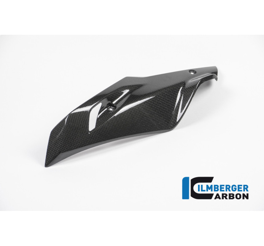 Sabot moteur partie gauche carbone pour BMW R 1200 R & RS | Ilmberger Carbon