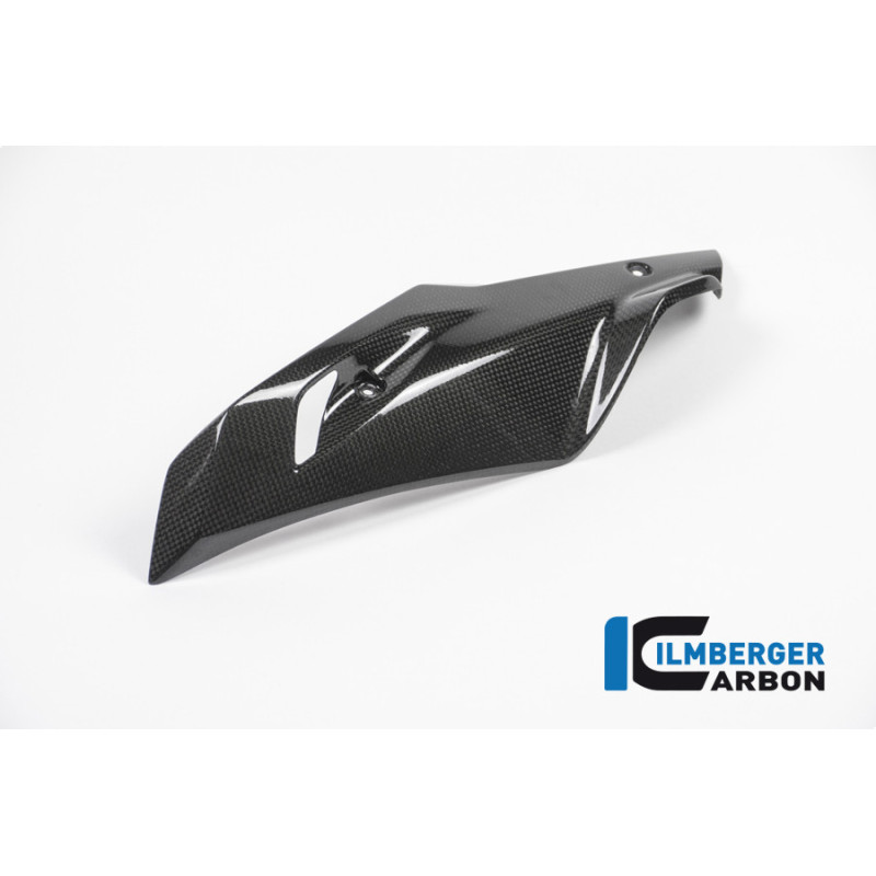 Sabot moteur partie gauche carbone pour BMW R 1200 R & RS | Ilmberger Carbon