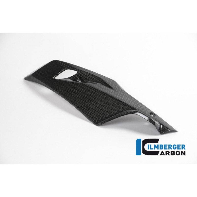 Sabot moteur partie gauche carbone pour BMW R 1200 R & RS | Ilmberger Carbon