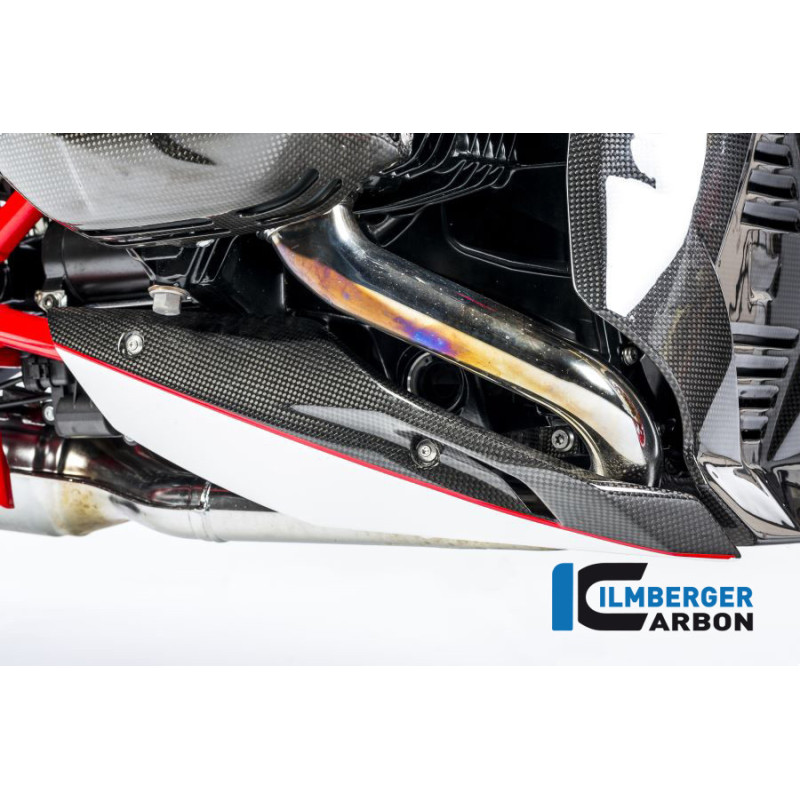 Sabot moteur partie droite carbone pour BMW R 1200 R & RS | Ilmberger Carbon