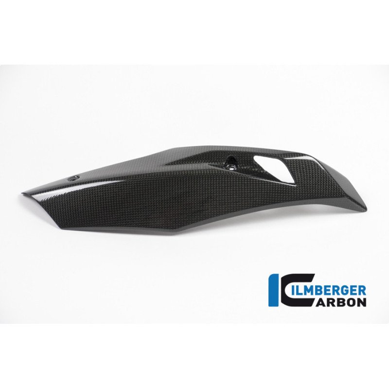 Sabot moteur partie droite carbone pour BMW R 1200 R & RS | Ilmberger Carbon