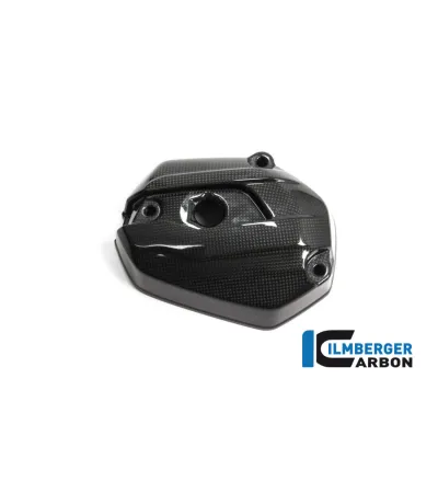 Couvre-culasse gauche carbone pour BMW R 1200 R & RS | Ilmberger Carbon