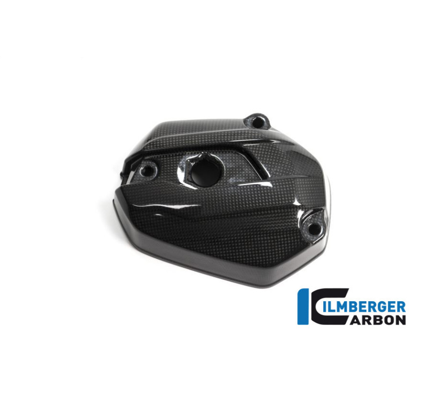 Couvre-culasse gauche carbone pour BMW R 1200 R & RS | Ilmberger Carbon