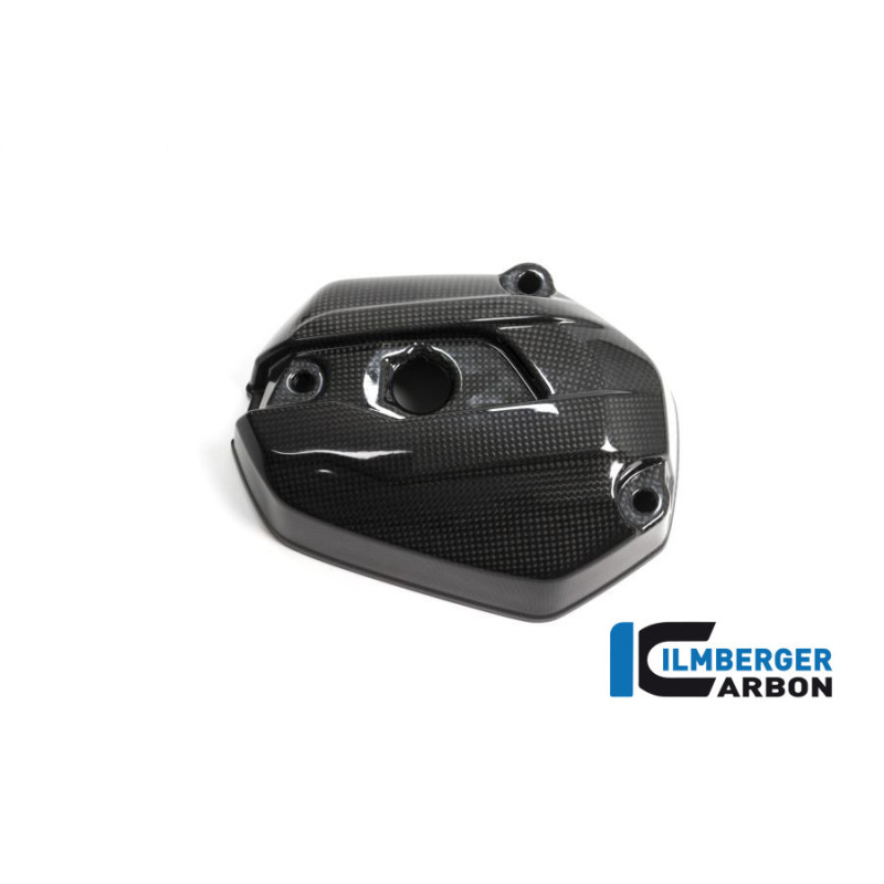 Couvre-culasse gauche carbone pour BMW R 1200 R & RS | Ilmberger Carbon