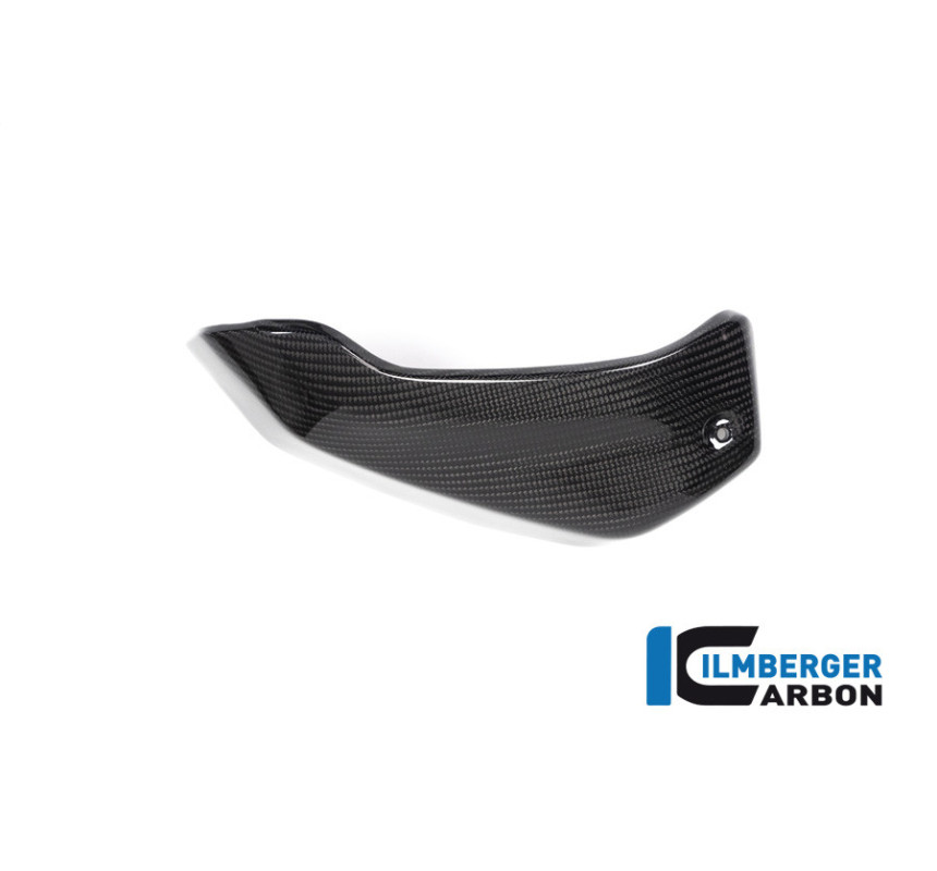 Cache de couvre-culasse gauche carbone pour BMW R 1250 R & RS | Ilmberger Carbon