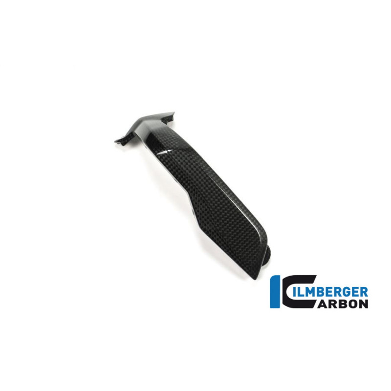 Couvercle de bobines d'allumage gauche carbone pour BMW R 1200 R & RS | Ilmberger Carbon