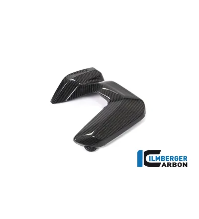 Couvercle de bobines d'allumage gauche carbone pour BMW R 1250 R & RS | Ilmberger Carbon