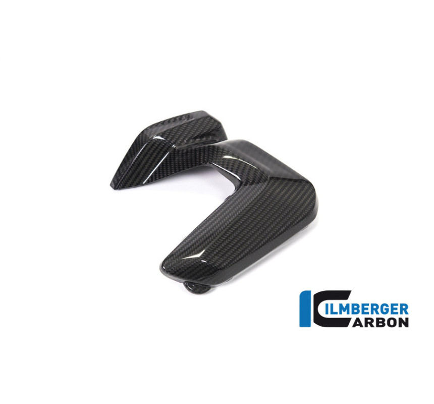 Couvercle de bobines d'allumage gauche carbone pour BMW R 1250 R & RS | Ilmberger Carbon