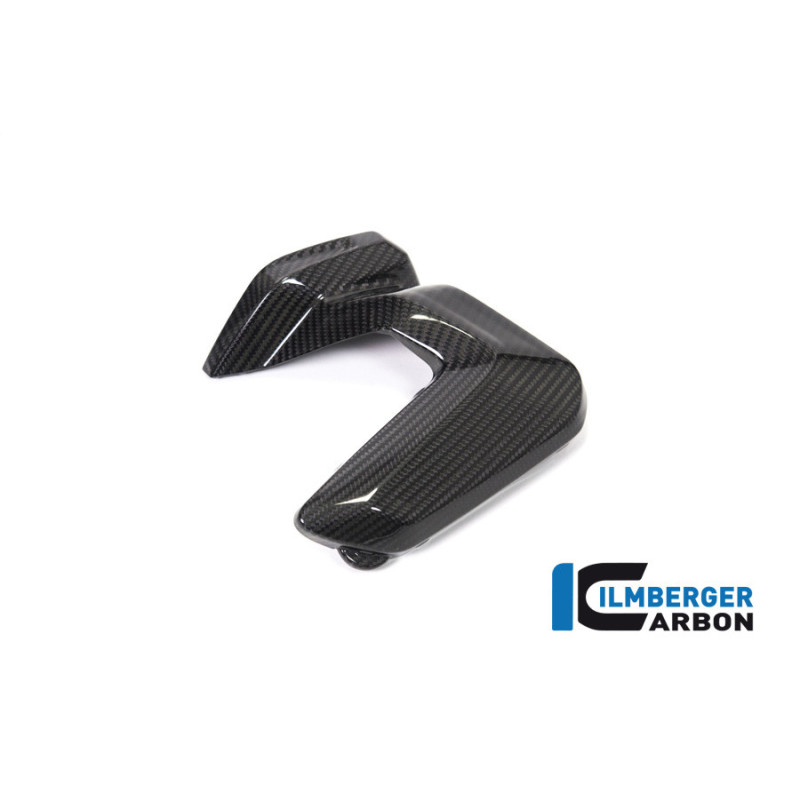 Couvercle de bobines d'allumage gauche carbone pour BMW R 1250 R & RS | Ilmberger Carbon
