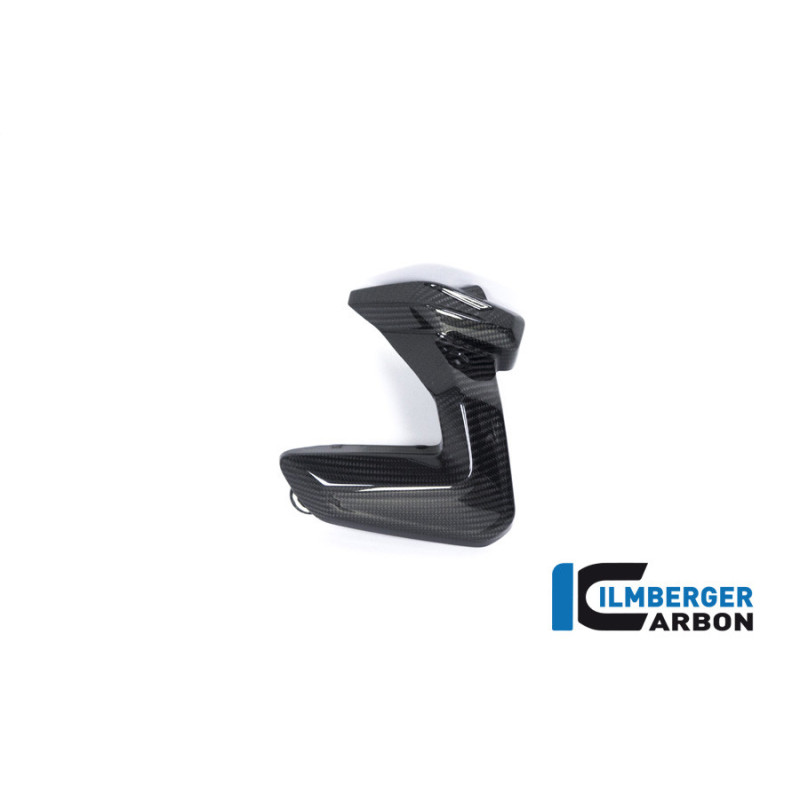 Couvercle de bobines d'allumage gauche carbone pour R 1250 R & RS