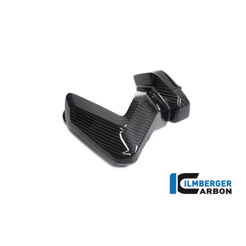 Couvercle de bobines d'allumage gauche carbone pour BMW R 1250 R & RS | Ilmberger Carbon