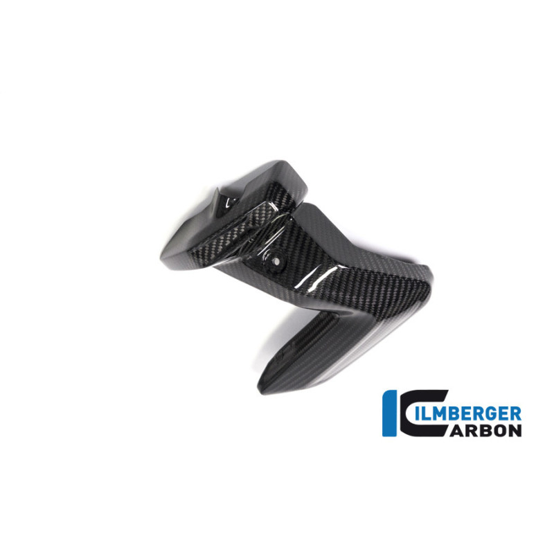 Couvercle de bobines d'allumage gauche carbone pour BMW R 1250 R & RS | Ilmberger Carbon