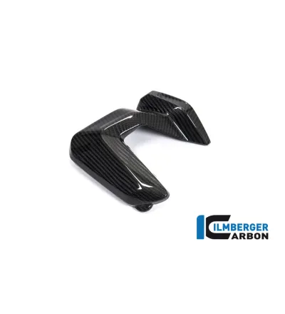 Couvercle de bobines d'allumage droit carbone pour BMW R 1250 R & RS | Ilmberger Carbon