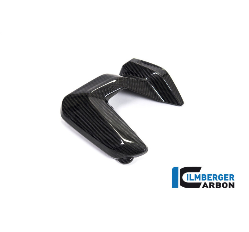 Couvercle de bobines d'allumage droit carbone pour BMW R 1250 R & RS | Ilmberger Carbon