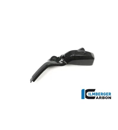 Cache d'injecteur gauche carbone pour BMW R 1200 R & RS | Ilmberger Carbon