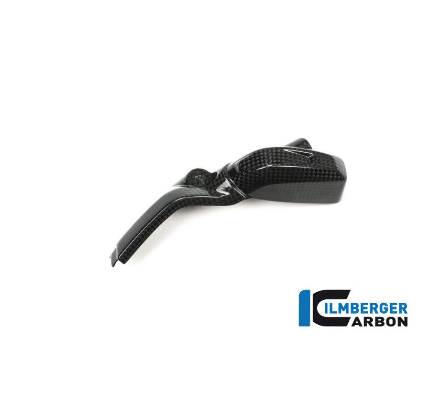 Cache d'injecteur gauche carbone pour BMW R 1200 R & RS | Ilmberger Carbon