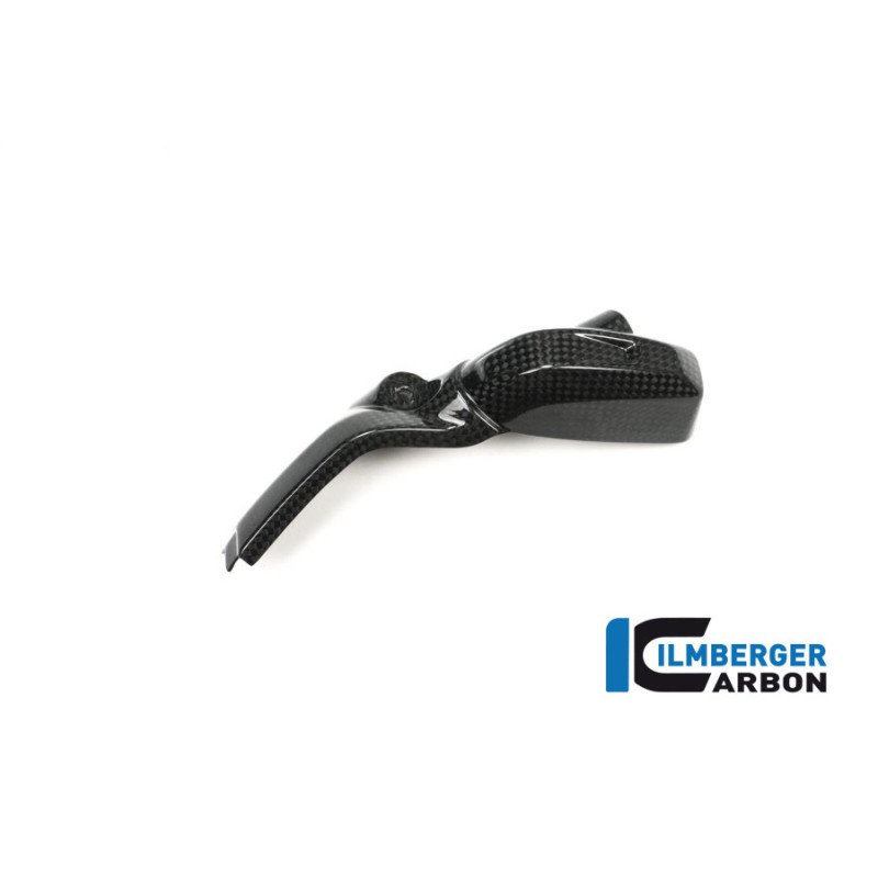 Cache d'injecteur gauche carbone pour BMW R 1200 R & RS | Ilmberger Carbon
