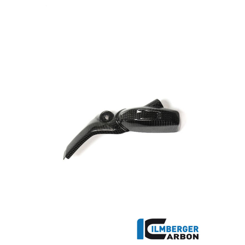 Cache d'injecteur gauche carbone pour BMW R 1200 R & RS | Ilmberger Carbon