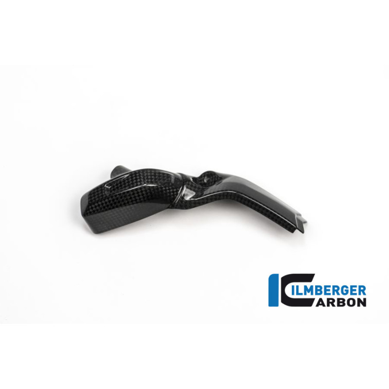 Cache d'injecteur droit carbone pour BMW R 1200 R & RS | Ilmberger Carbon