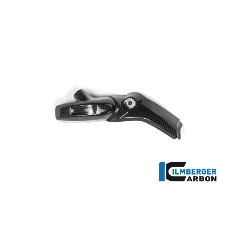 Cache d'injecteur droit carbone pour R 1200 R & RS