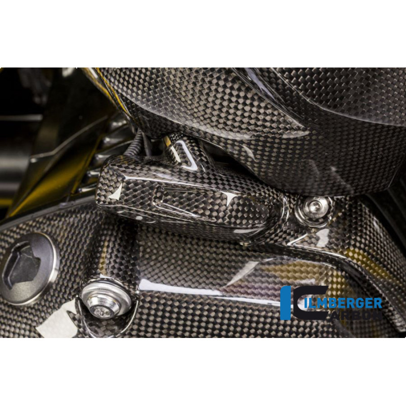 Cache d'injecteur droit carbone pour BMW R 1200 R & RS | Ilmberger Carbon