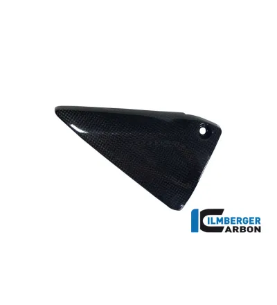 Couvercle de cadre gauche carbone pour BMW R 1200 R & RS | Ilmberger Carbon