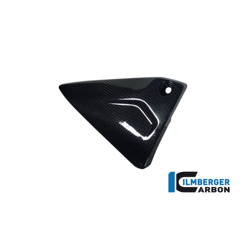 Couvercle de cadre gauche carbone pour BMW R 1200 R & RS | Ilmberger Carbon