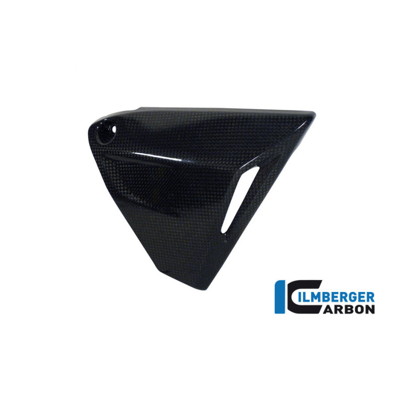 Couvercle de cadre droit carbone pour BMW R 1200 R & RS | Ilmberger Carbon