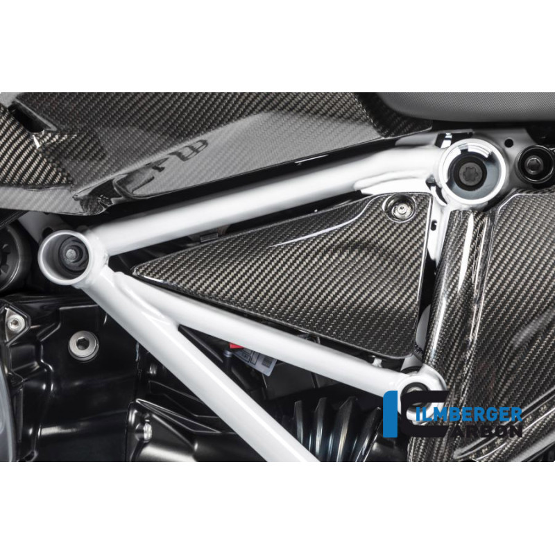 Couvercle de cadre gauche carbone pour BMW R 1250 R & RS | Ilmberger Carbon