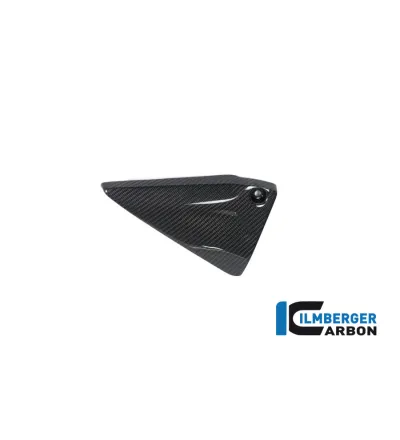 Couvercle de cadre gauche carbone pour BMW R 1250 R & RS | Ilmberger Carbon
