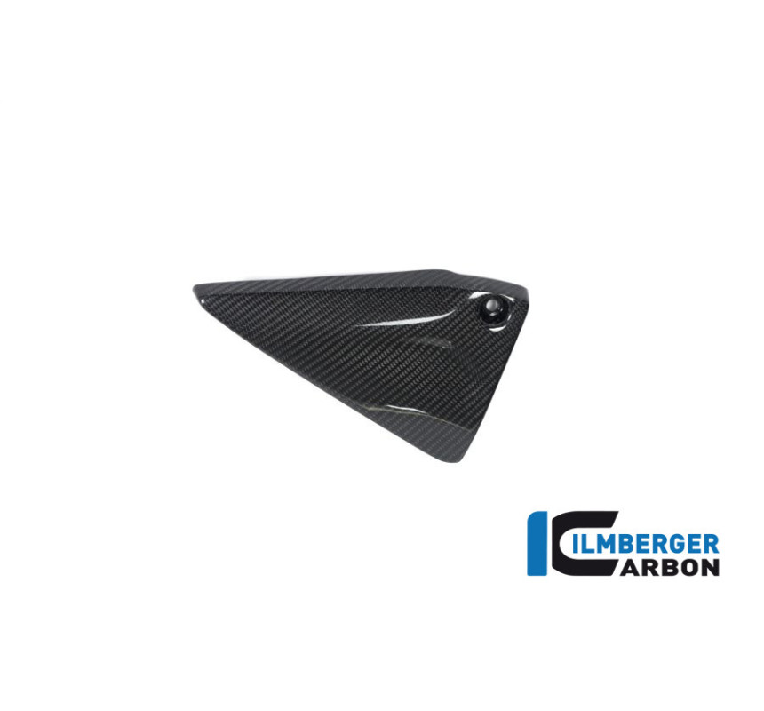 Couvercle de cadre gauche carbone pour BMW R 1250 R & RS | Ilmberger Carbon