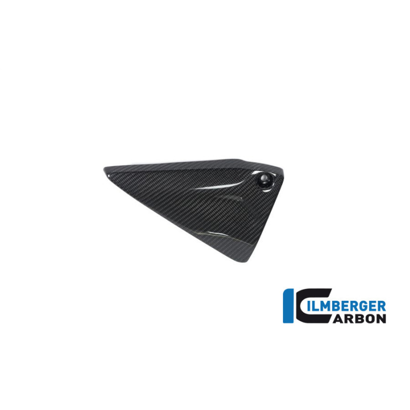 Couvercle de cadre gauche carbone pour BMW R 1250 R & RS | Ilmberger Carbon