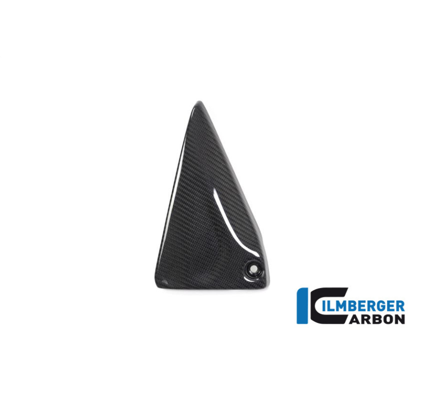 Couvercle de cadre gauche carbone pour R 1250 R & RS