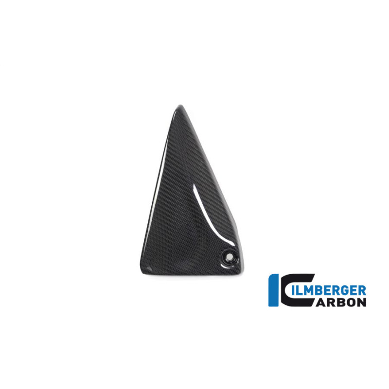 Couvercle de cadre gauche carbone pour R 1250 R & RS