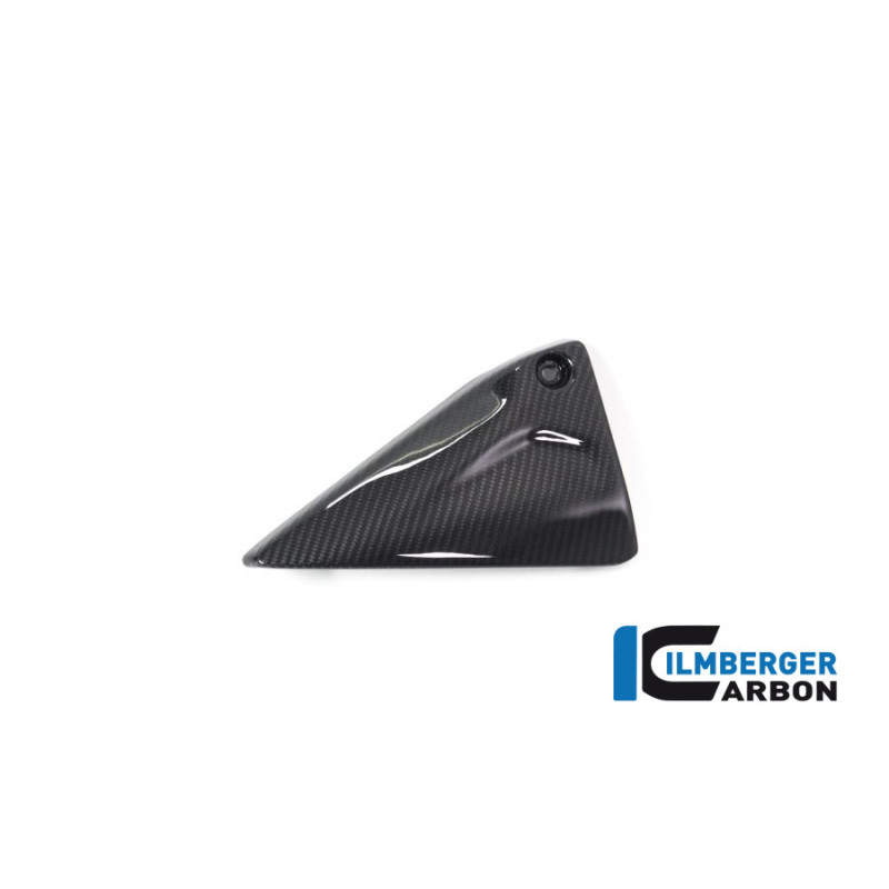 Couvercle de cadre gauche carbone pour BMW R 1250 R & RS | Ilmberger Carbon