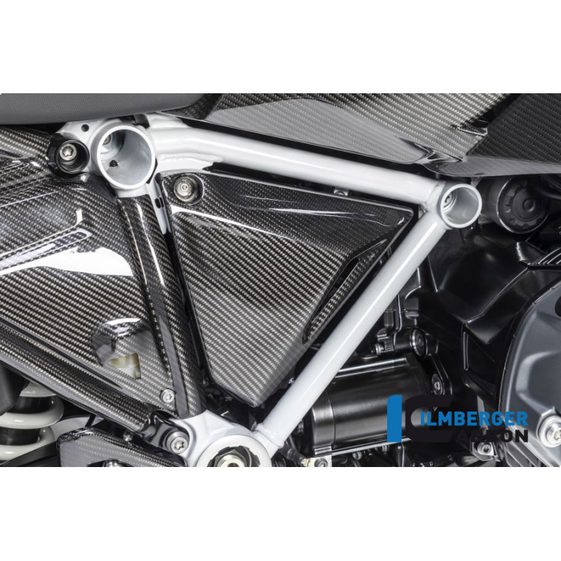Couvercle de cadre droit carbone pour BMW R 1250 R & RS | Ilmberger Carbon
