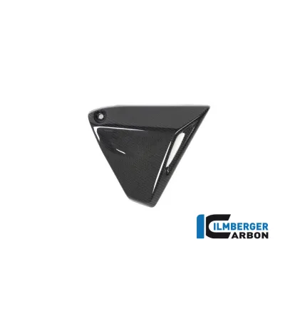 Couvercle de cadre droit carbone pour BMW R 1250 R & RS | Ilmberger Carbon