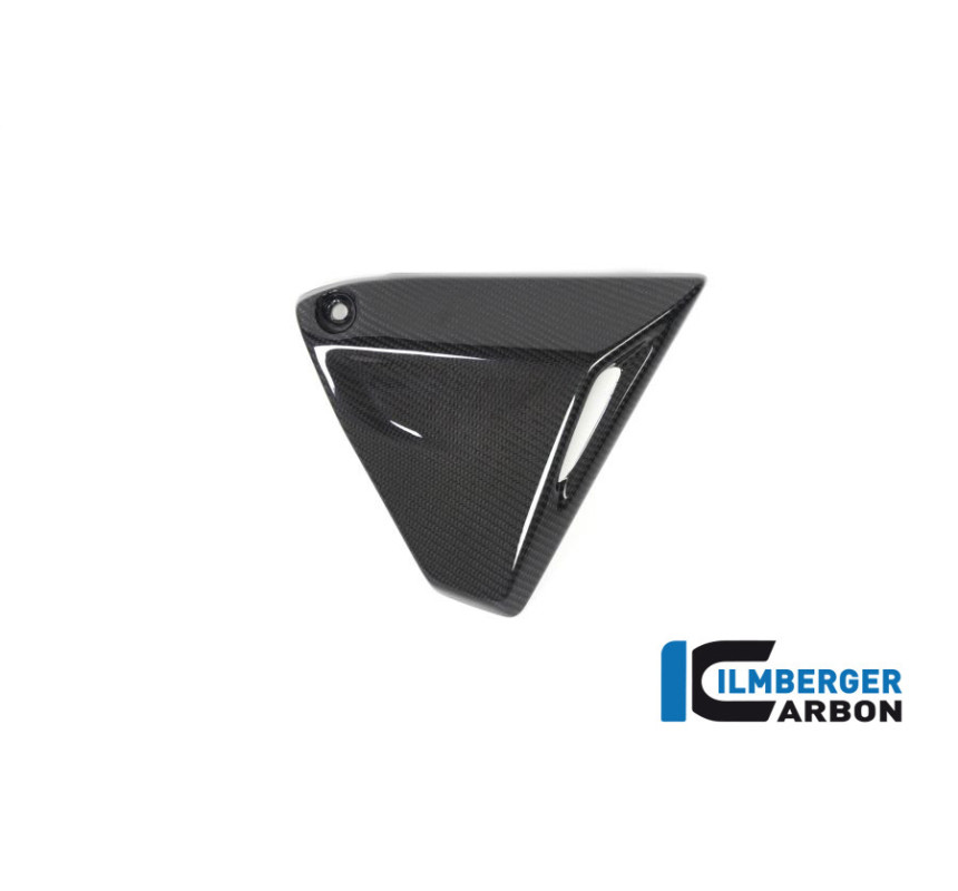 Couvercle de cadre droit carbone pour BMW R 1250 R & RS | Ilmberger Carbon