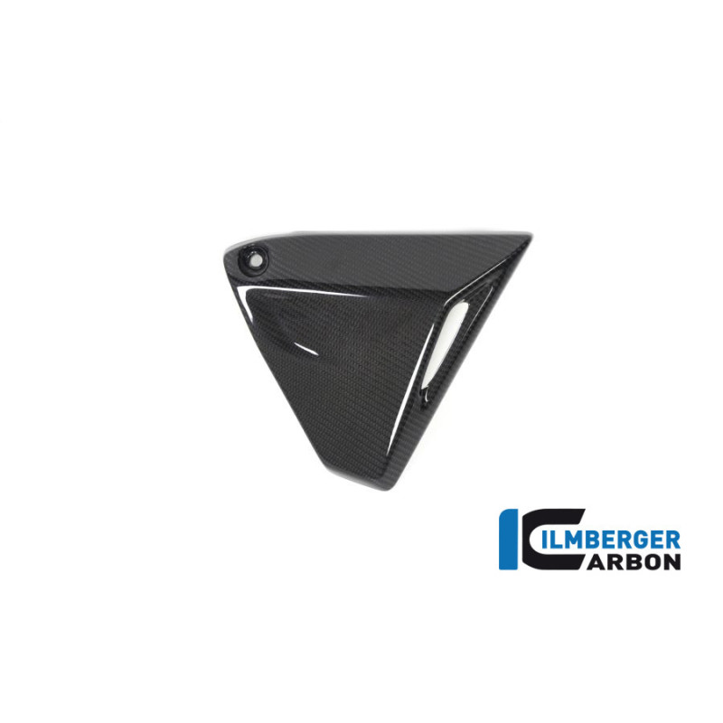 Couvercle de cadre droit carbone pour BMW R 1250 R & RS | Ilmberger Carbon