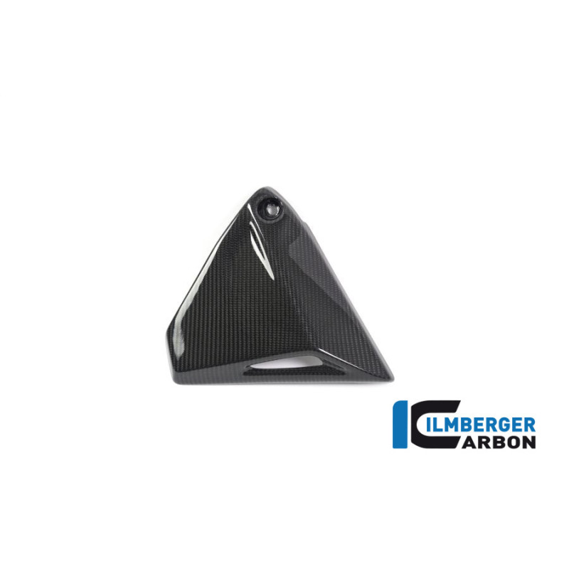 Couvercle de cadre droit carbone pour BMW R 1250 R & RS | Ilmberger Carbon